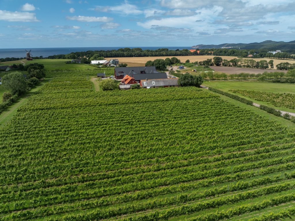 DJI_0202