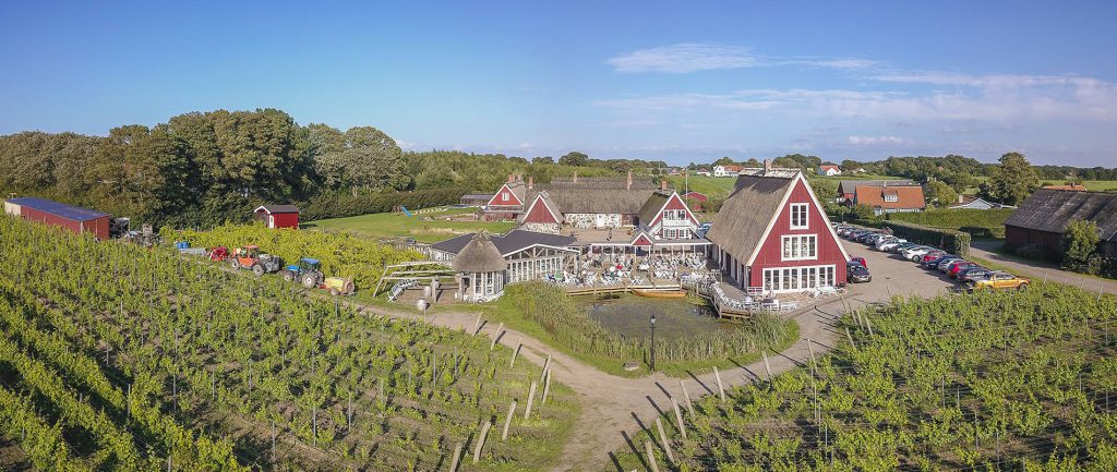 arilds-vingard-i-halland