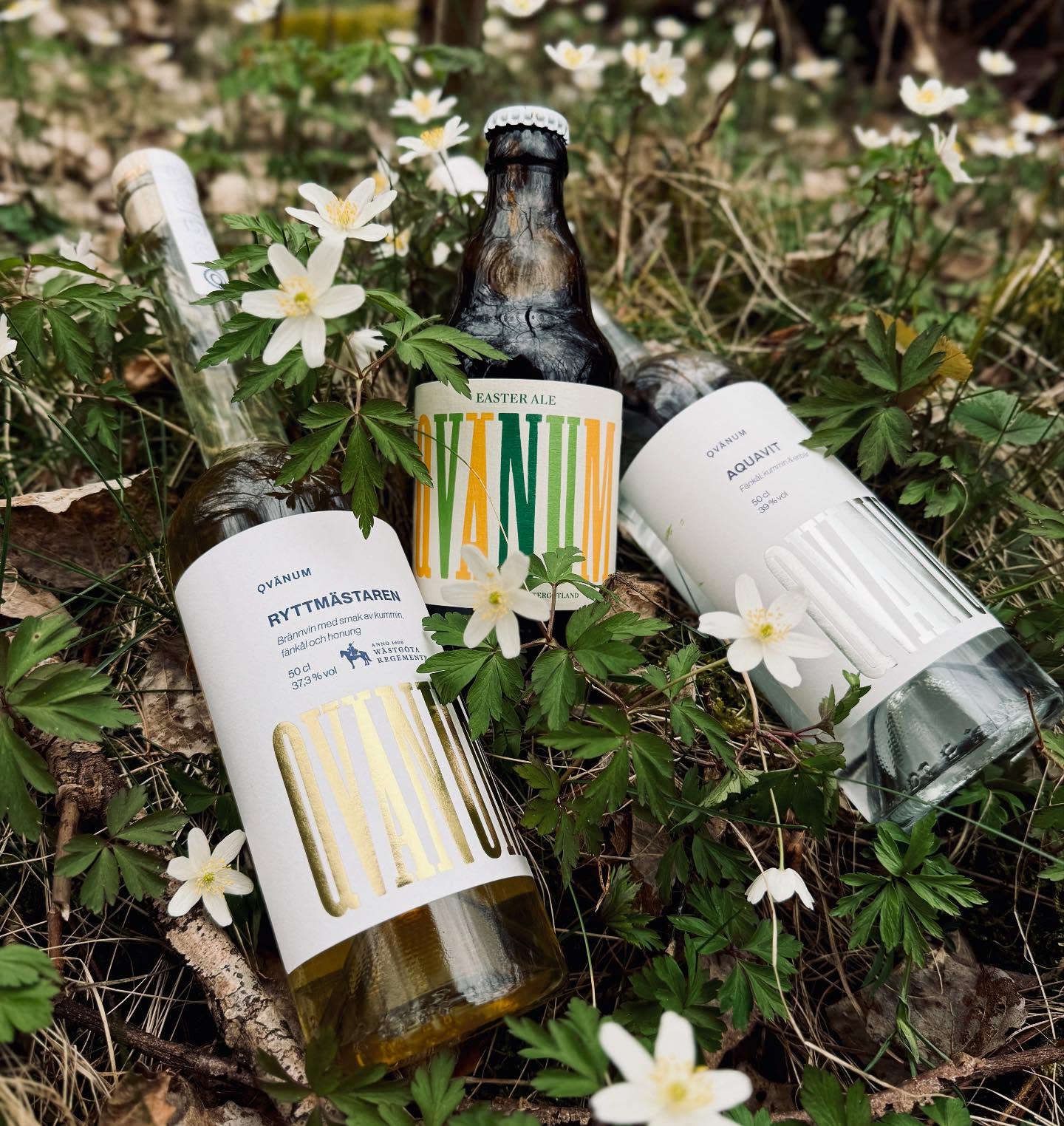 489951108_18398581933128013_599477674800717612_n