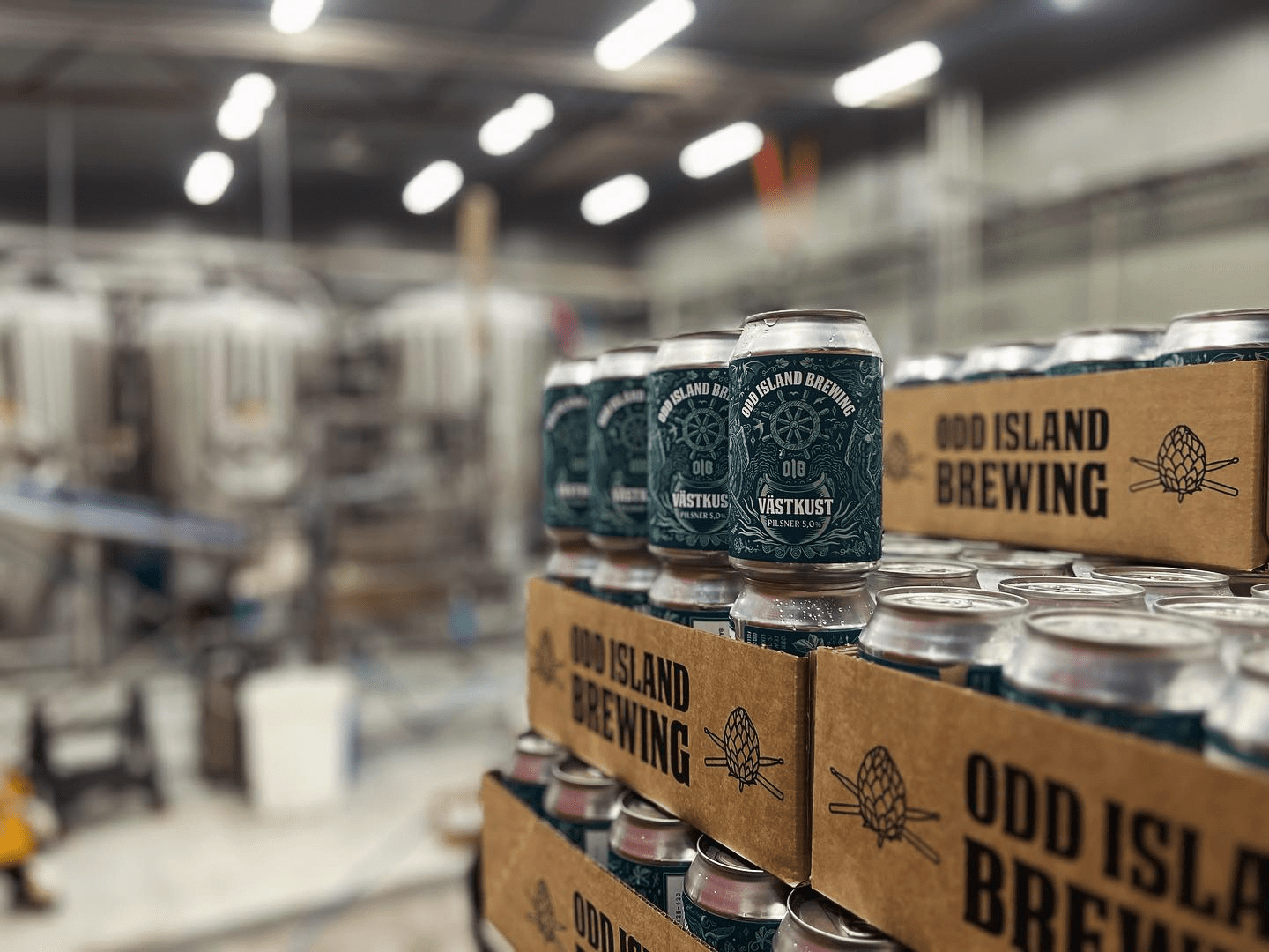 468186363_18427327012072138_3317289278186939901_n (kopia)