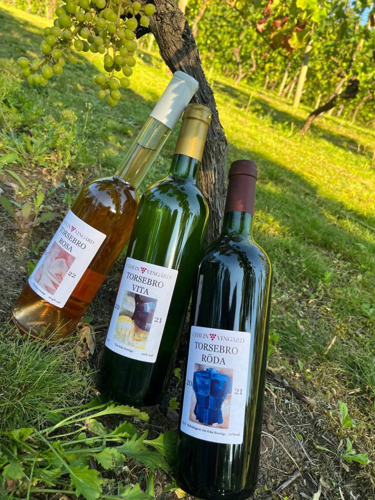 484914297_1170809488176118_3940303732172117352_n