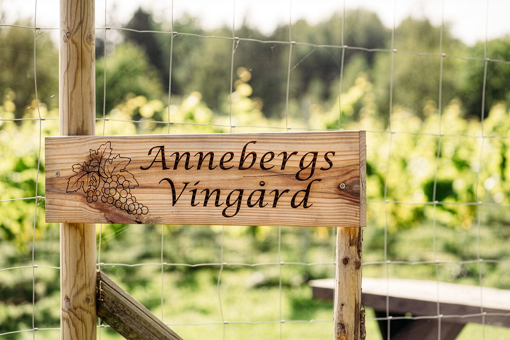 fotograf.johanna.svanstrom_2023_anneberg-57 (kopia) Firefly Upscaler 4x scale