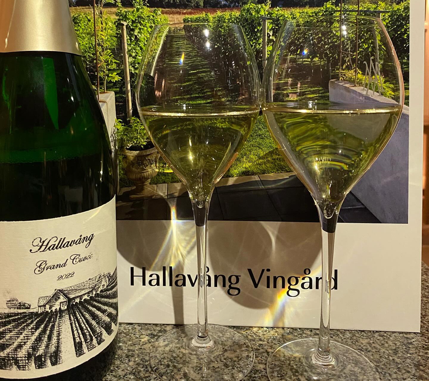 481804524_17952168866836939_5439115331697216090_n copy