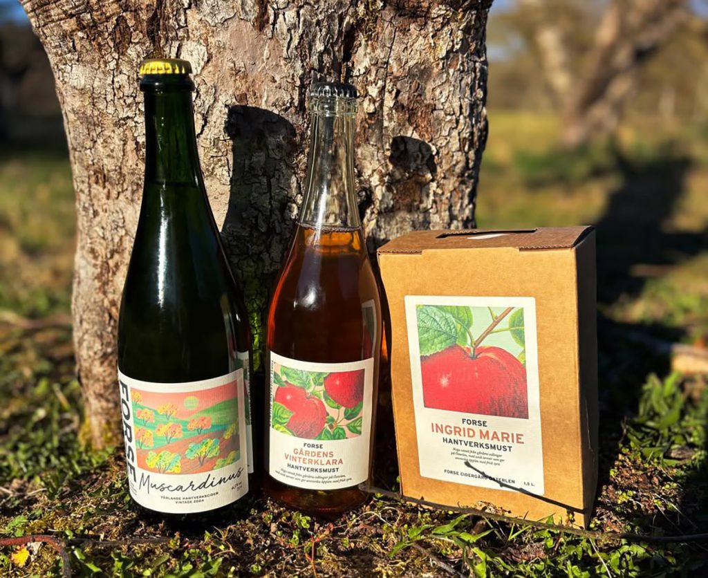 670944892_18534143308068833_4299330537331675521_n copy